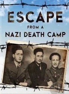 Фашистский лагерь смерти. Большой побег (США, 2014)